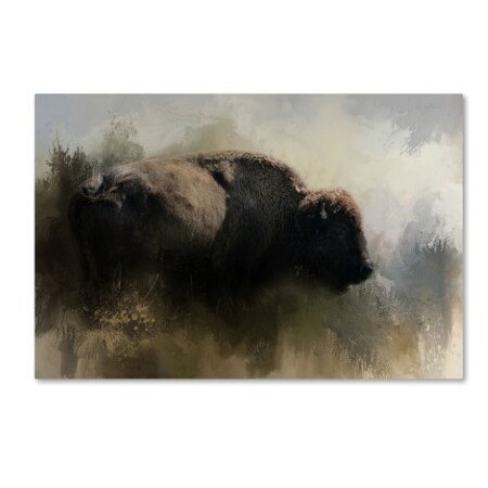 Jai Johnson 'Abstract American Bison' Canvas Art,22x32